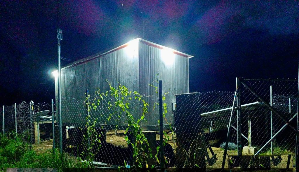 Reviving the Niger Delta: Sustainable Energy Solutions for a Greener Future